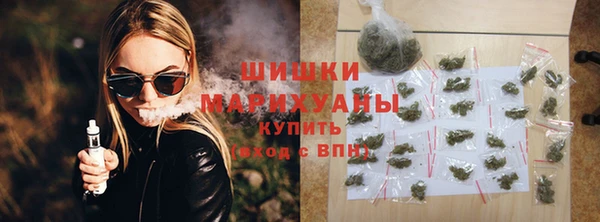 винт Чегем