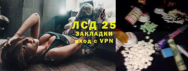 хмурый Абаза