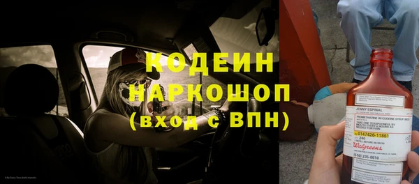 хмурый Абаза