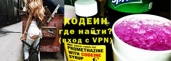 хмурый Абаза