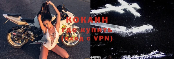 хмурый Абаза
