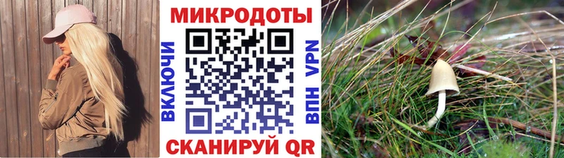 Галлюциногенные грибы Cubensis Смоленск