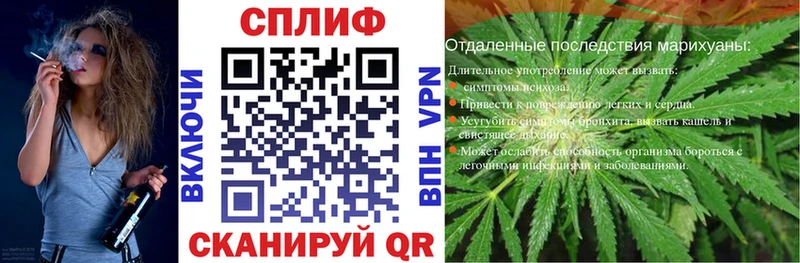 Бошки Шишки планчик  Смоленск 